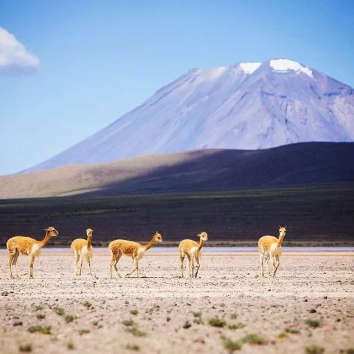 WhatsApp Image 2018-11-20 at 22.12.33