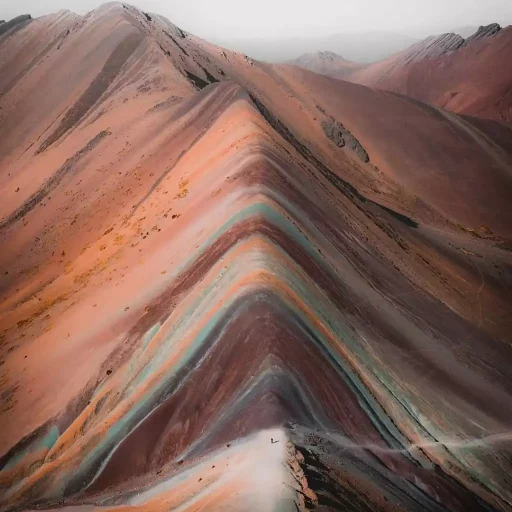 WhatsApp Image 2019-02-15 at 17.51.15