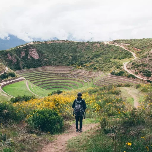 WhatsApp Image 2019-02-15 at 17.54.32 (1)