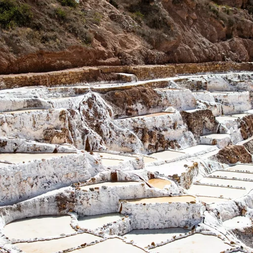 pexels-marco-luigy-294958724-17848634